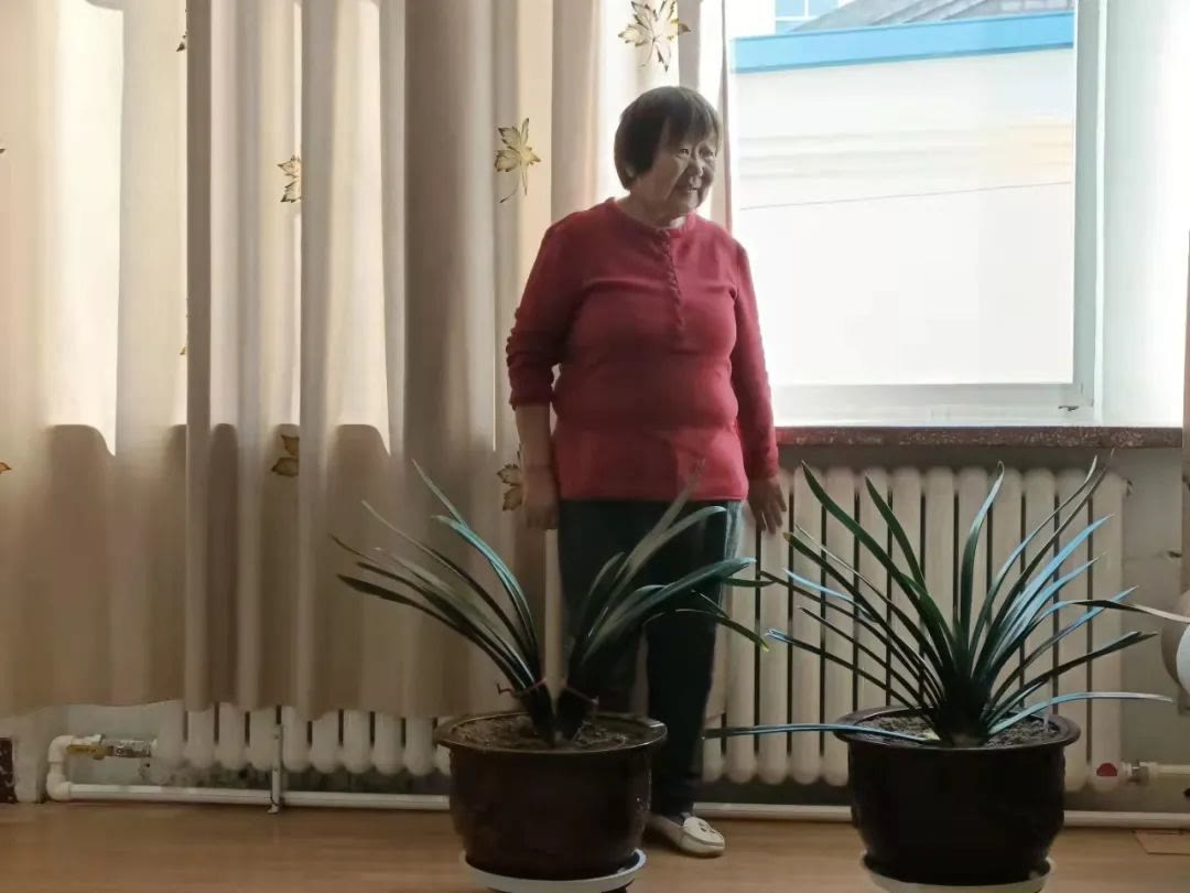 供暖 你家热了没？全盟供暖第一天，记者带你去“探温”