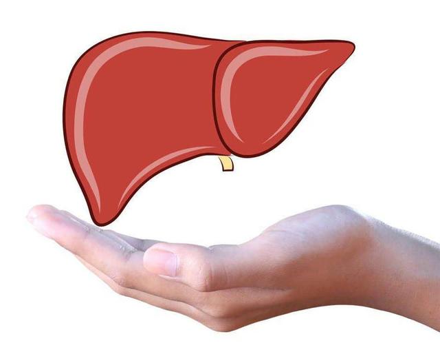 铠甲护士|夏天想养肝的人，建议这5种蔬菜日常吃点，或有利于健康