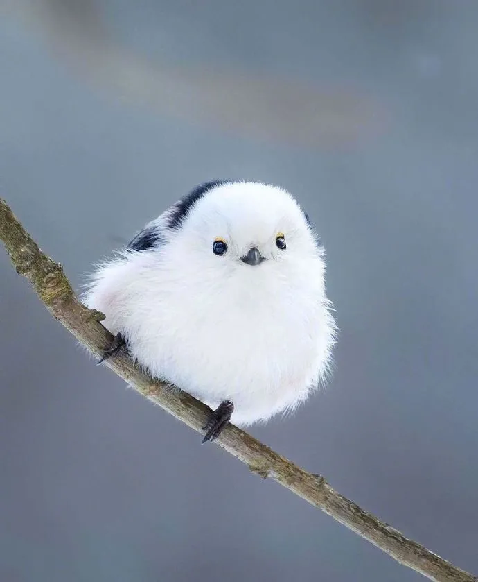 洞洞鞋|夏天穿洞洞鞋的烦恼