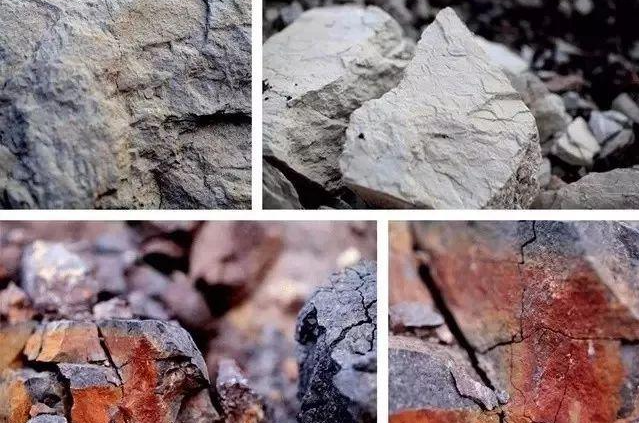 |紫先生—紫砂壶: 养壶老鸟的“三不得”