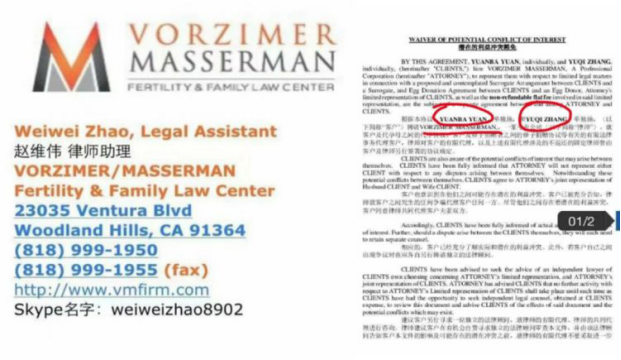 郑爽|郑爽要鱼死网破， 娱乐圈或一窝端？