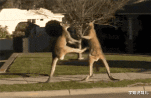 学姐说育儿|“求高手把我们两个P一起,一小时后来拿图!”