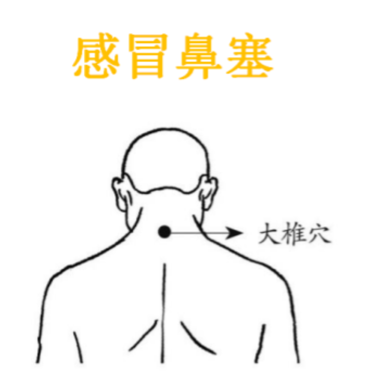 吕中医说|人体365个穴位,重要的无非这10穴,可调百病,收好、以后用得到!