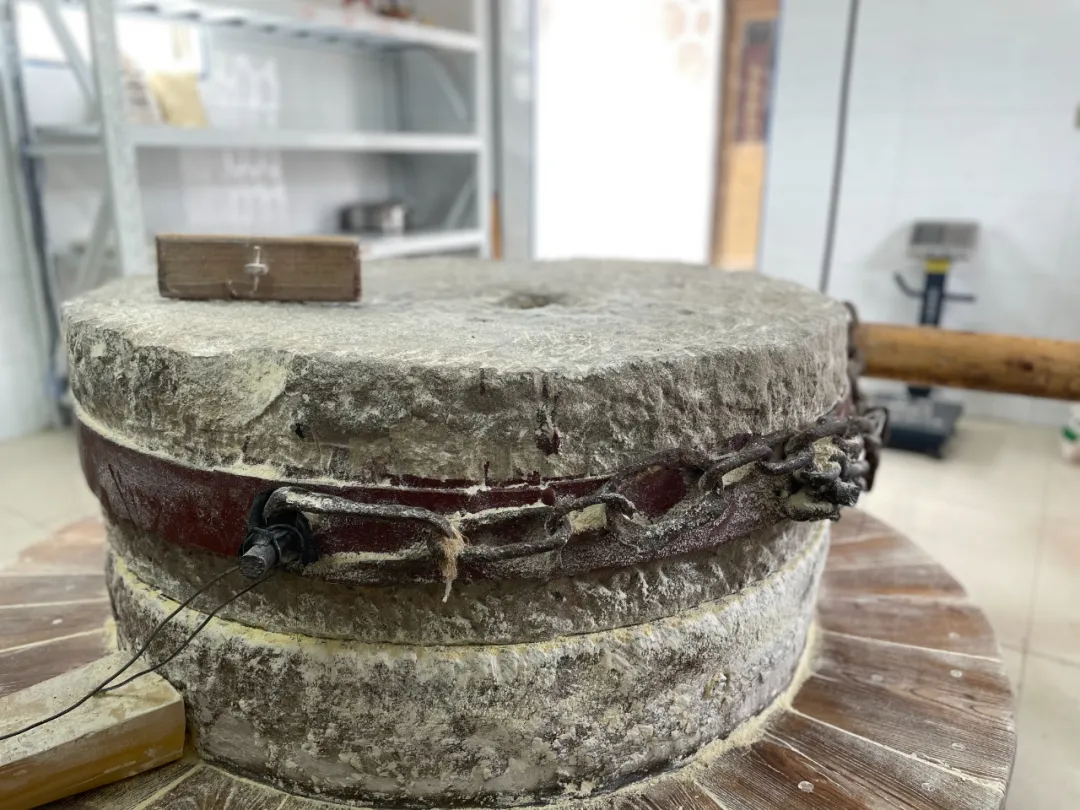 石家庄日报客户端 石家庄71岁老人在河边守了一辈子，只因心里放不下这件事