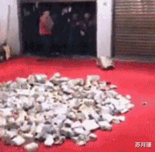 苏月瑾|“假如中了1000万大奖，你第一个电话打给谁”