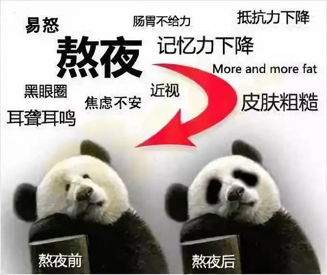 西域苁蓉|看完这些，还敢晚睡吗？