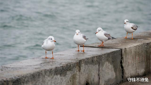  看起来有些虚无缥缈，但却真实存在于世界的23个冷知识