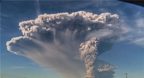 全球变暖 第6次生物灭绝将要来临?种种迹象的出现,或是气候变暖惹的祸