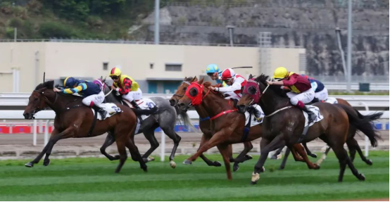 郭晶晶|霍英东后手生效！郭晶晶出手有望彻查裁判？霍家豪掷百亿定乾坤