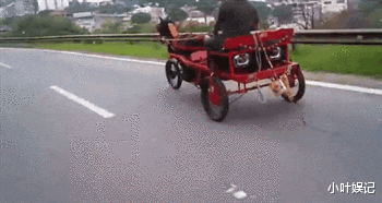 富二代|“我爸说他曾是个富二代，我不信，直到他拿出和妈妈的结婚照！”