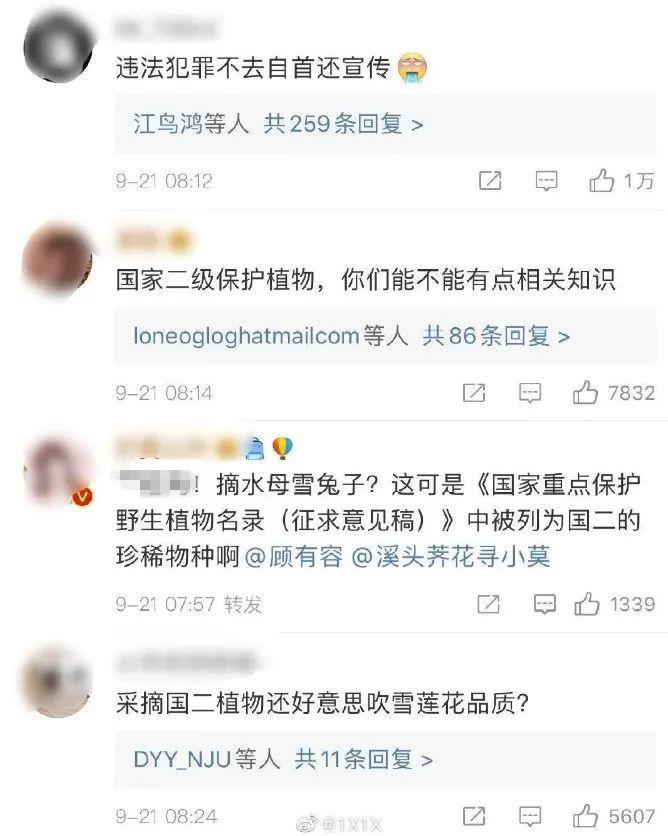 男子花100元买盆花，警察半夜找上门，结果悲剧了