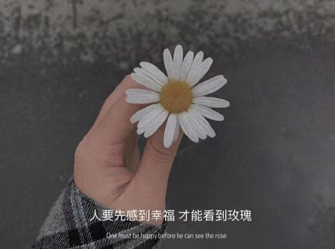 健康常识|很酸的文案|失眠的星星数着还没睡的人