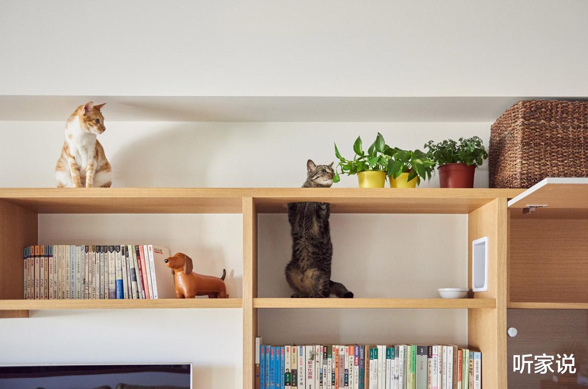 |日本90后姑娘太自律:每天把家收拾得一尘不染,入住4年干净如新