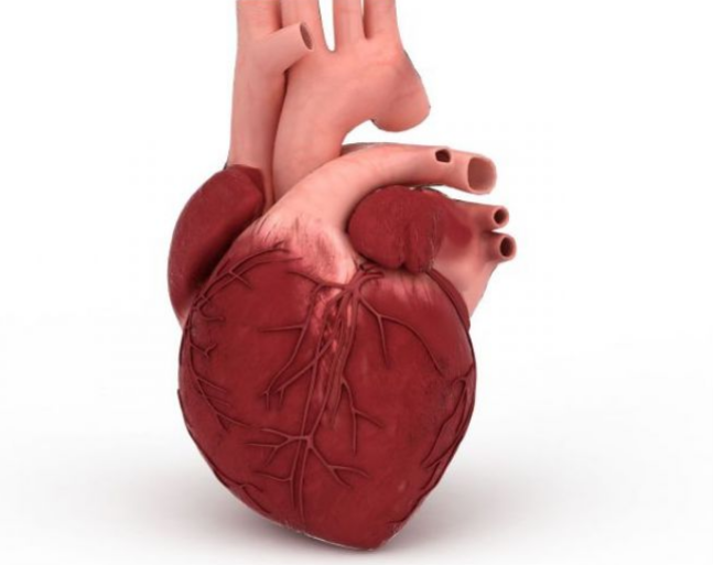 心力衰竭|慢性心力衰竭是怎么回事