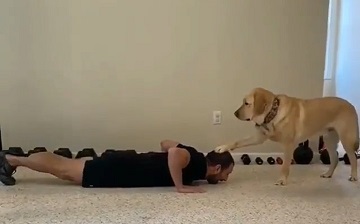 健身|健身的最佳拍档，你绝对想不到！