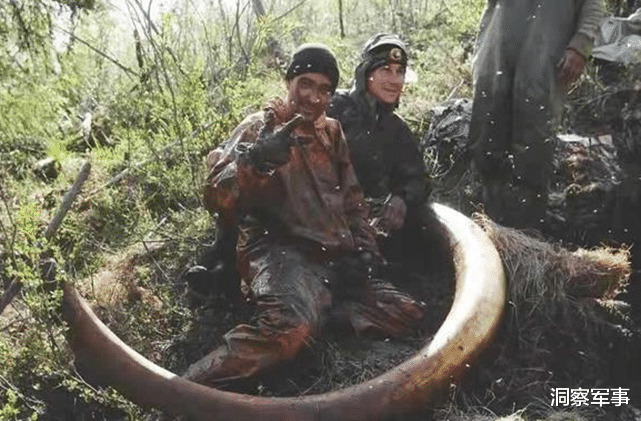 象牙|最独特的职业，收入达上千万，每年还有300多天休息