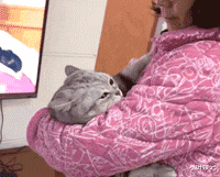 小叶娱记 “姑娘还是换件衣服逛街吧，穿成这个样子太吸引眼球了吧？”