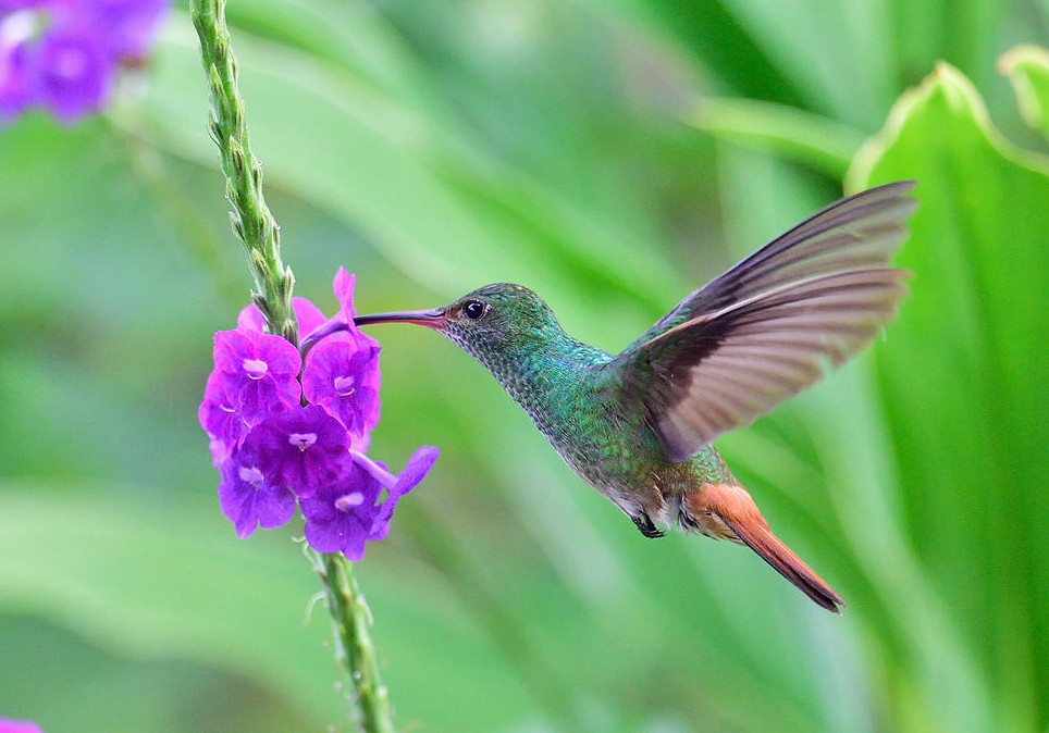 载人航天 别看我小，我有雄心志气高