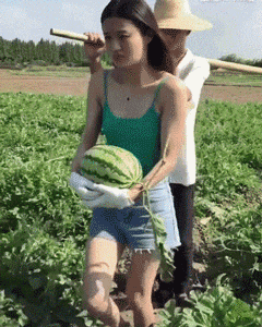 生酮饮食 “路上碰到一只小乌龟，拿回家养怎么样？”