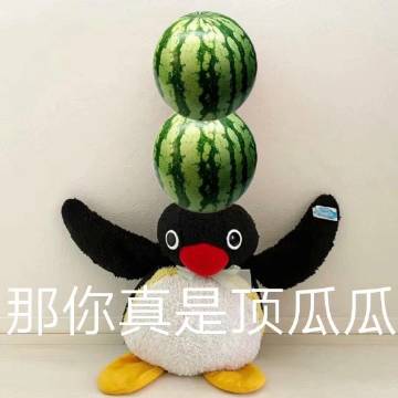 桉月|表情包：小企鹅的表情，我知道错了