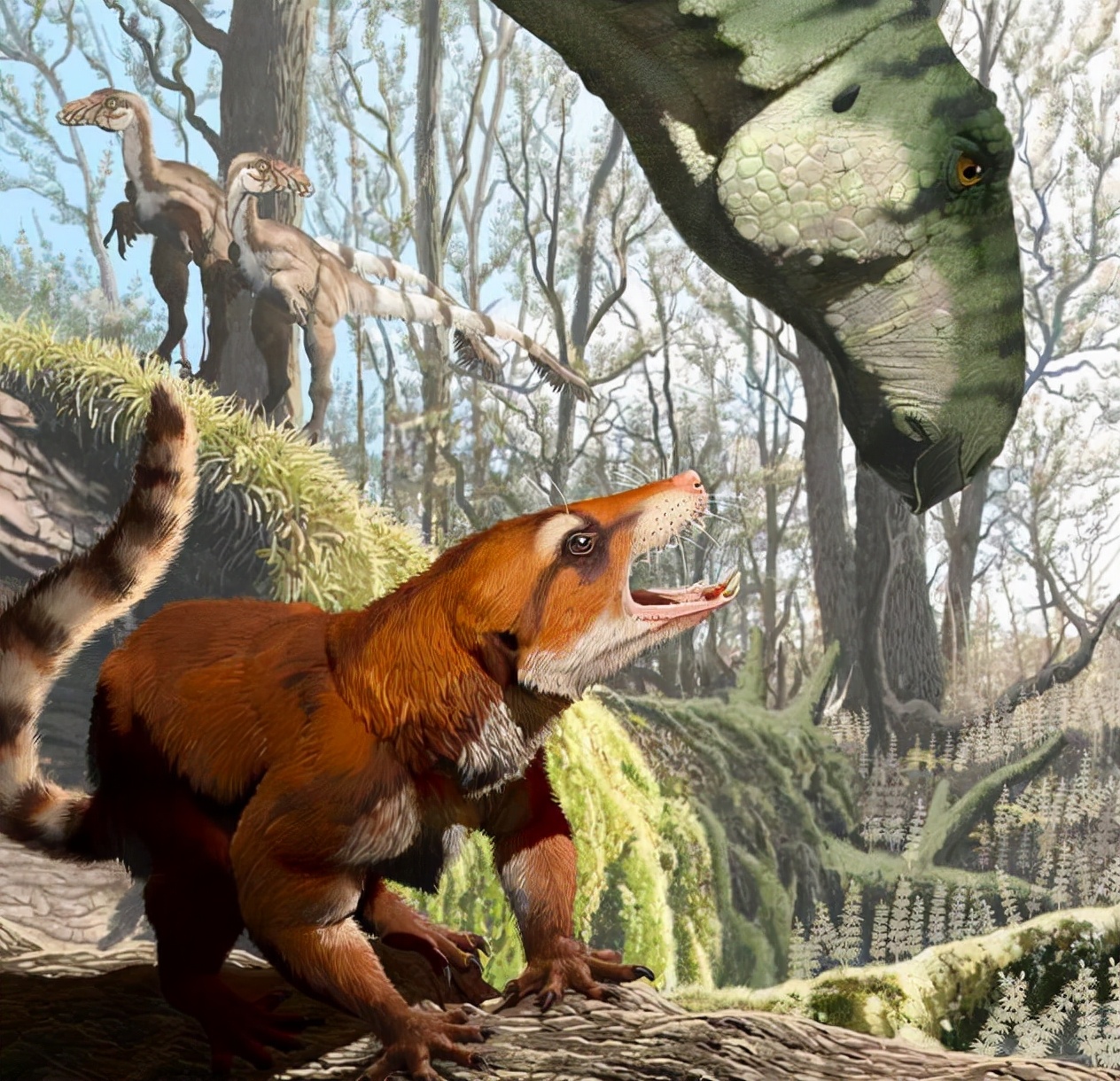 恐龙 如果6500万年前没有小行星撞地球，那恐龙到现在会进化成什么样？
