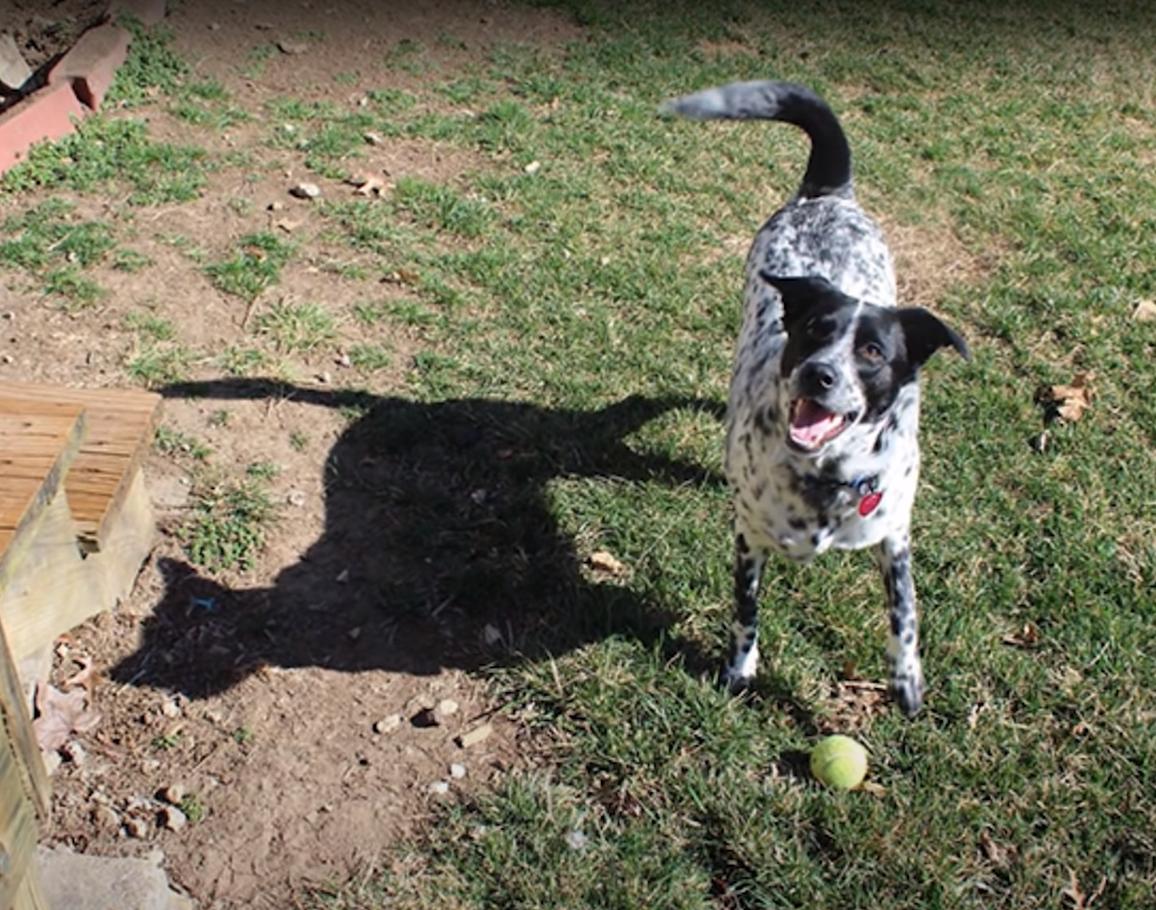 海之归墟|32张不可思议的照片,证明影子也会“骗人”