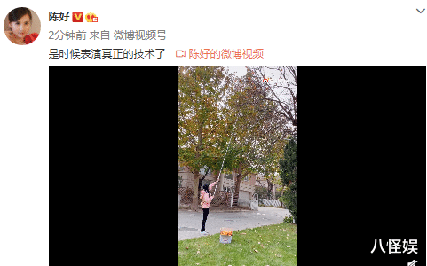 赵丽蓉|“万人迷”陈好秀摘柿子技能，手法娴熟接地气，41岁身材依旧少女