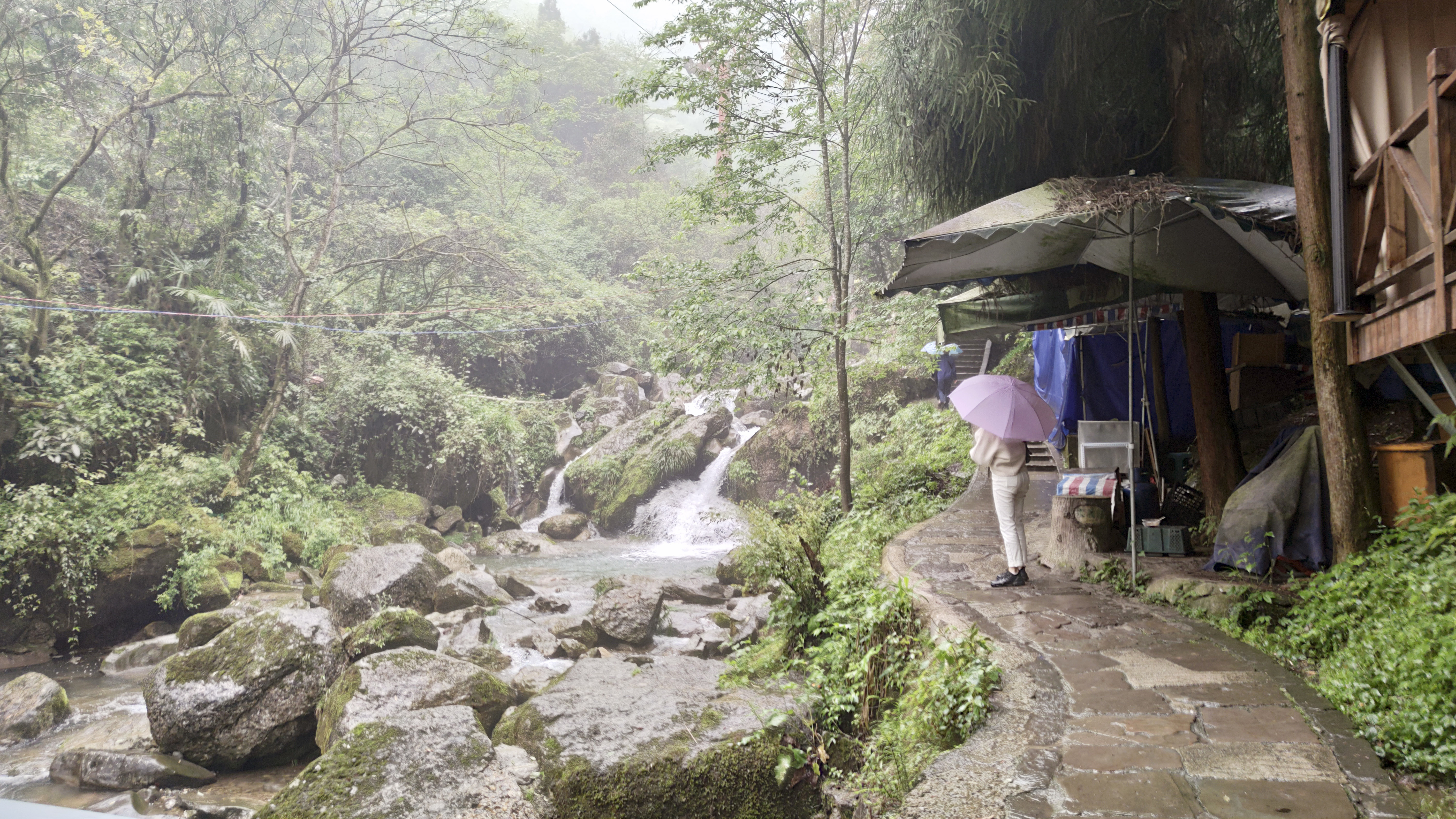 泰安古镇 暴雨中的都江堰青城后山，大批游客涌入，它到底有何魅力