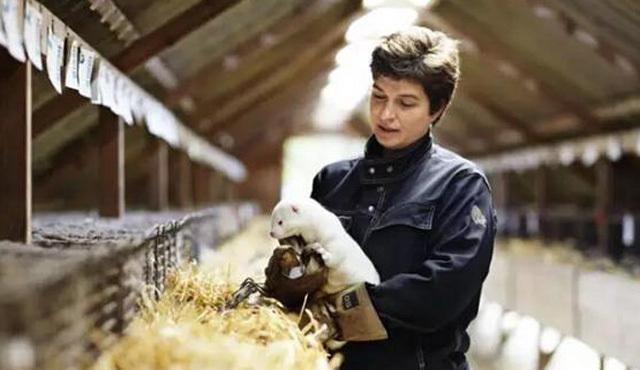 黄金 曾被视为“软黄金”,如今成“草价”,2万一件降至7千也没人买?