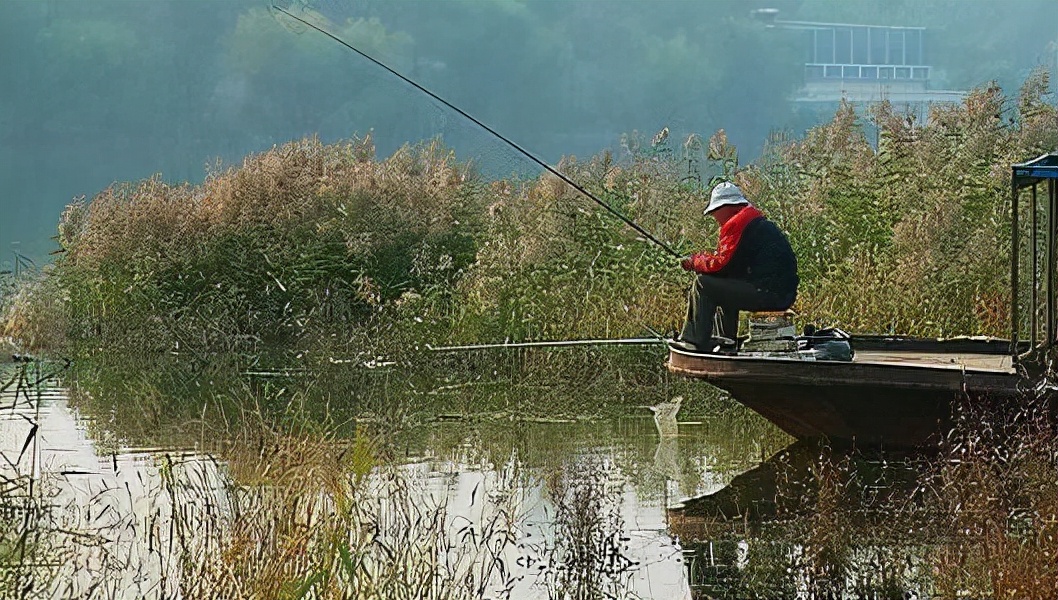 |初冬野钓鲫鱼，遇到这两种情况，就要果断改变上饵手法