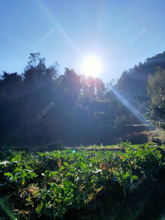 水库|今年最后一钓了，从新手到现在所有鱼获