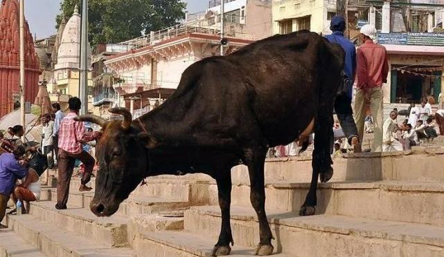 行星 10个“冷知识”:生物老师不会告诉你,但却真实存在且有趣!