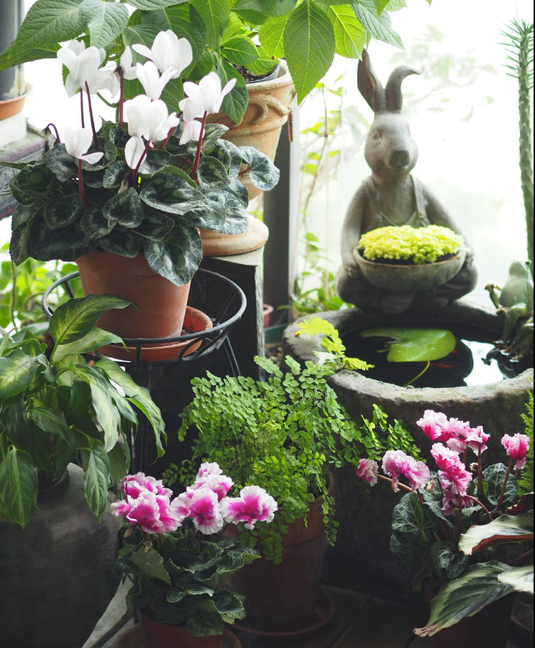 7㎡小阳台，改造成19楼的空中小花园，天天宅在家不想出门了