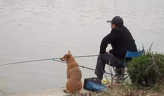 |冬钓怎么选水，看这一篇，你就明白了