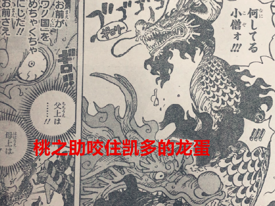 凯多|海贼王1026话：大蛇果然还没死，桃之助咬住了凯多的“龙蛋”？