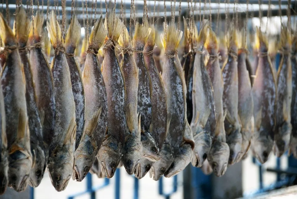 古代禁止贩卖私盐，那咸鱼该如何腌制呢？官府早就为渔民想好了