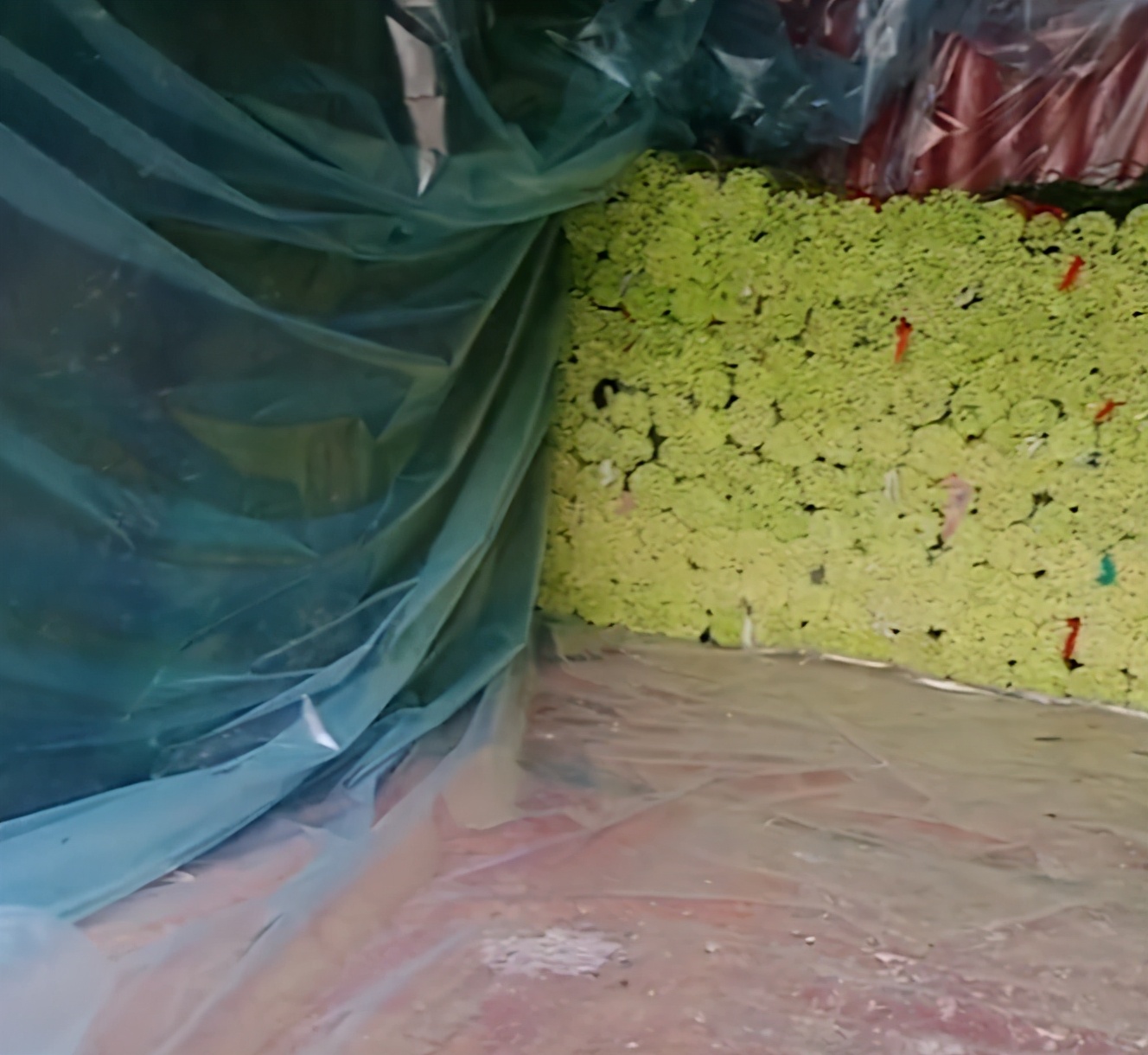 掌上社评 亏良心！河南商贩收蒜苔时收到“夹心蒜苔”，中间夹着钢筋、铁块