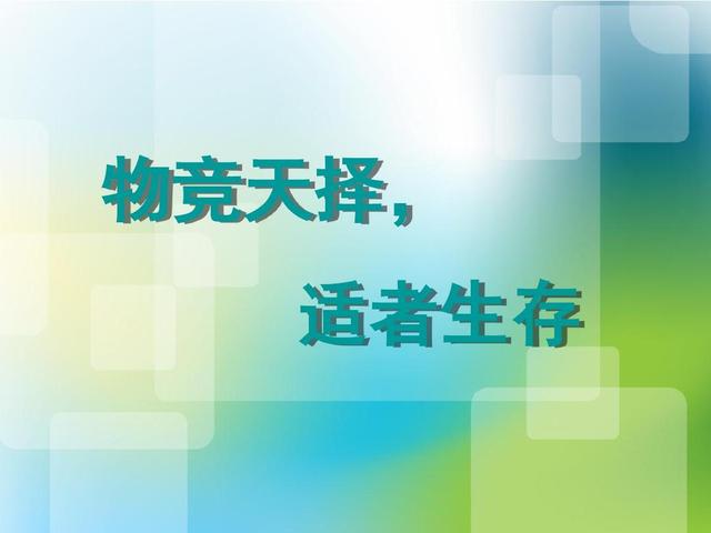 恐龙 2.34亿年前，一场200万年的大雨，将恐龙扶上了霸主的宝座
