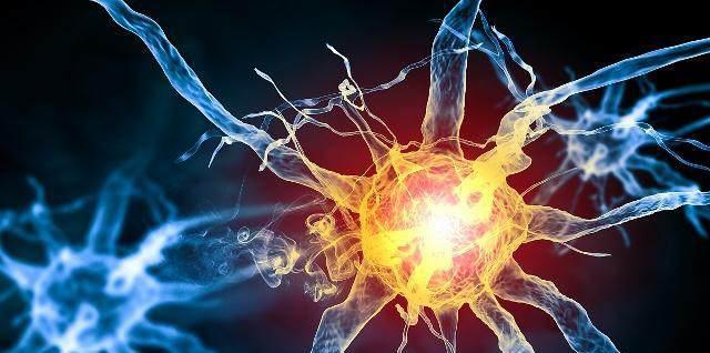 |正確認識辨別植物神經紊亂，避免讓你深受其害