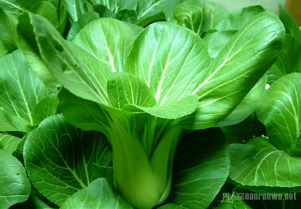 大脑|这 6 种增强大脑功能的食物，你经常吃吗？