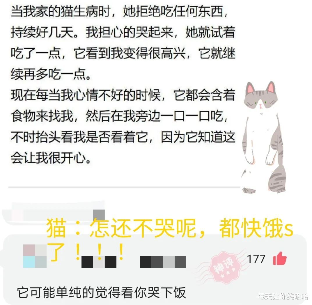 神回复|神回复：日本天皇19岁独生女照片流出，评论区里炸锅了，神评绝了