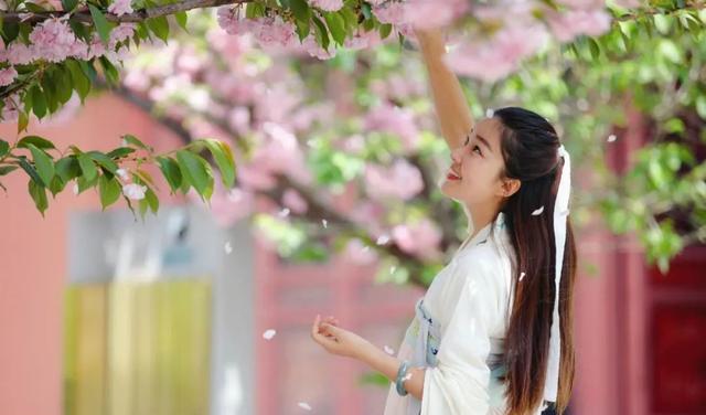 绝情的雁 春暖花开一定要去楼观看山听水踏青赏景，领略这个季节的至美之景