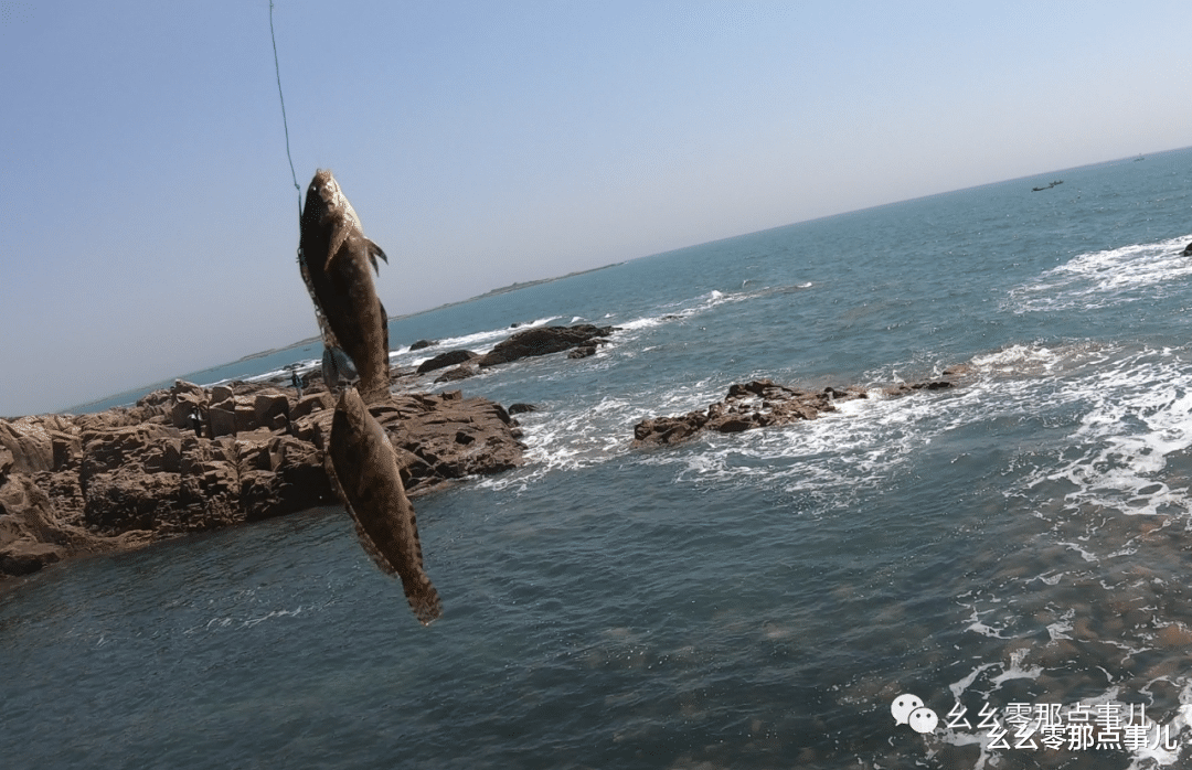 幺幺零那点事儿 捡海星、抓螃蟹、钓海鱼！北京到青岛的边玩边钓之旅不要太爽