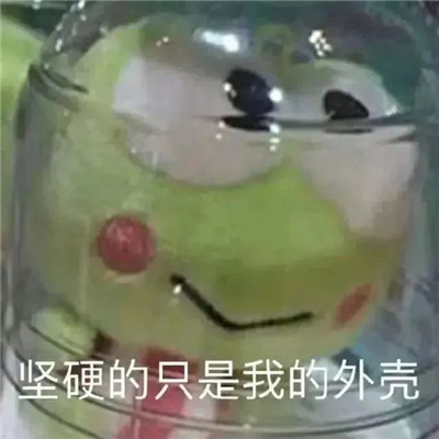 桉月|表情包：让孤独陪我过夜