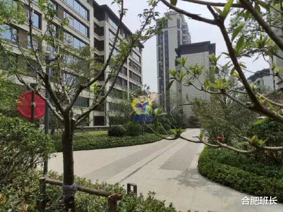 房价|正在登记的雍容雅苑怎么样？实探包河区淝河板块的招商雍荣府！
