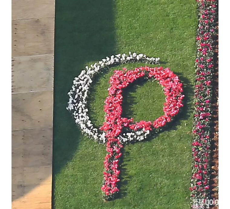 帕丽斯·希尔顿|网红名媛鼻祖帕丽斯·希尔顿大婚！全程拍真人秀的婚礼，了解一下