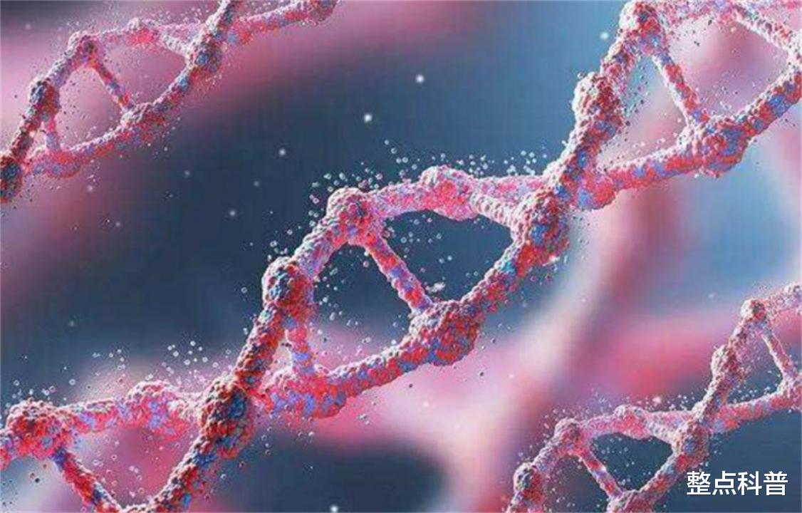 东亚女性胸部普遍比欧美小,源于基因变异?为何只有东亚人变异?