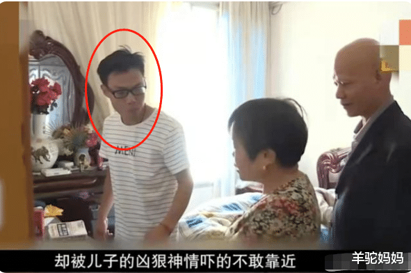 羊驼妈妈|34岁“巨婴”靠啃老度日，相亲59次全以失败告终，父母溺爱的结果