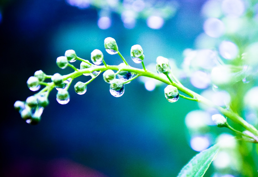 舜网 5月开始，爱意泛滥，相约白头，爱情甜蜜，前任迷人的生肖