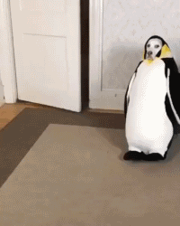 鞠婧祎|“只要胆子大，老师休产假，大学时的终极梦想！”